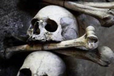 skulls and bones